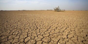 AfDB calls on Africa to mobilise funds to fight climate change 1 AfDB calls on Africa to mobilise funds to fight climate change