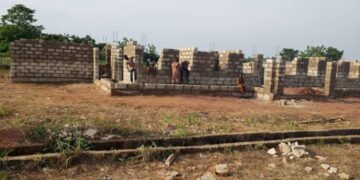 FG begins construction of new snakebite treatment centre — after TheCable’s report