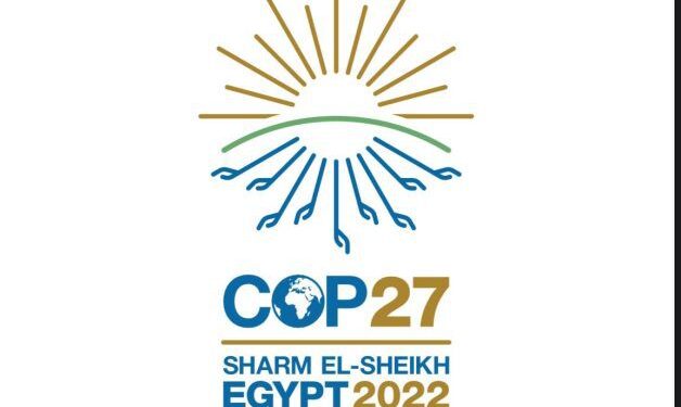 COP27: It’s Africa’s turn to take centre stage 92 COP27: It’s Africa’s turn to take centre stage