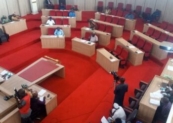 Kogi assembly summons BUA, threatens to revoke its 50,000-hectare land ownership