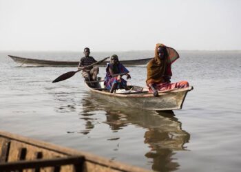 Buhari, others warned to resist World Bank, IMF’s push to sell Africa’s water resources