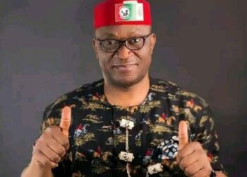 Linus Okorie, Labour Party senatorial candidate, nabbed for inciting violence