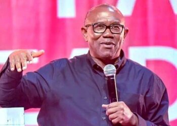 Peter Obi rejects award in Enugu