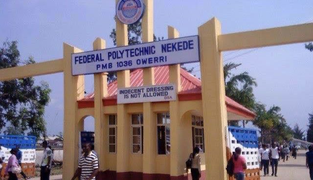Nekede poly furious with student claiming she graduated using God’s help, private parts 92 Nekede poly furious with student claiming she graduated using God’s help, private parts
