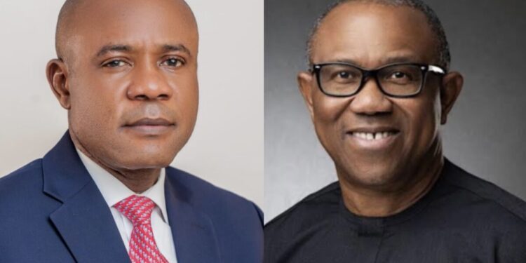 Obidients endorse PDP guber candidate Peter Mbah in Enugu