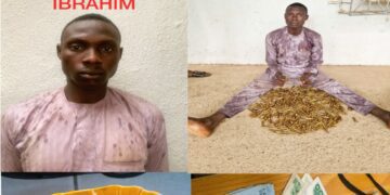 PHOTOS: DSS arrests criminal gang led by retired colonel, recovers arms 1 PHOTOS: DSS arrests criminal gang led by retired colonel, recovers arms