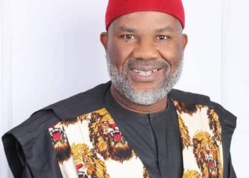 Afam Ogene wins Ogbaru federal constituency seat