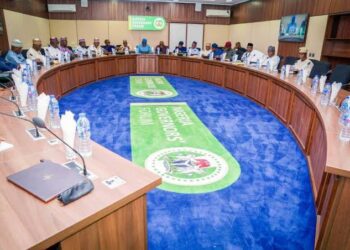 Governors meet economic, financial agencies over states’ security votes 93 Governors meet economic, financial agencies over states’ security votes