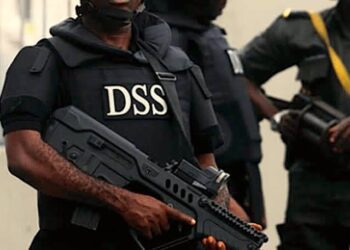 DSS operates within its mandate, by Dr Peter Afunanya
