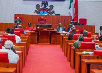 Senate Proposes Single Term for CBN Governor 93 Senate