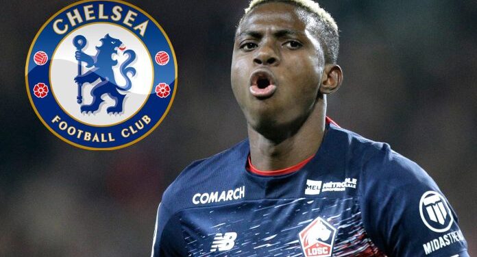 Chelsea Intensifies Osimhen Chase 92 Chelsea Intensifies Osimhen Chase