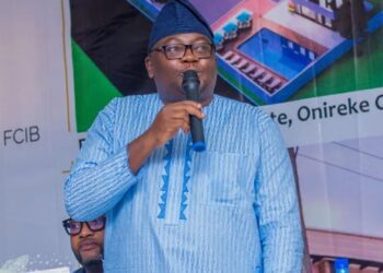 Federal government is not sleeping on the power problem - Adelabu 91 Adebayo-Adelabu