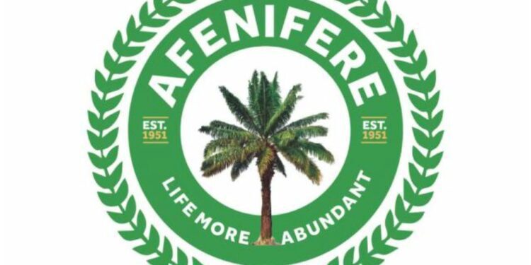 Afenifere: our blueprint for restructuring is ready 92 Afenifere