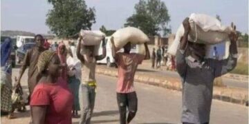 FCTA agriculture secretariat warehouse allegedly looted by hoodlums