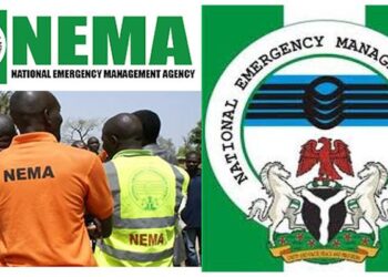 National-Emergency-Management-Agencys-NEMA