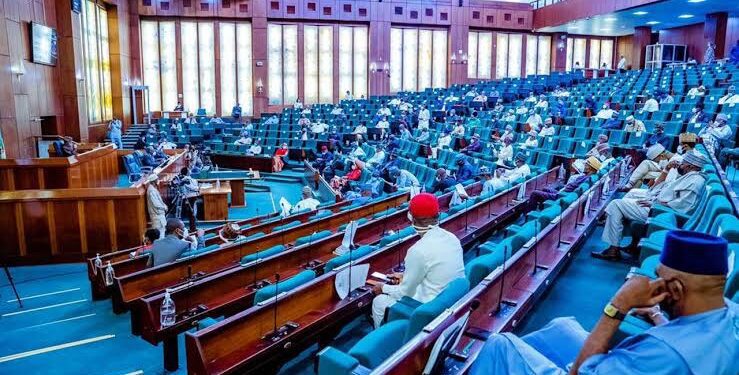 House of Reps call for calm, to launch probe into Chinese supermarket's alleged prejudice against Nigerians 92 House of Reps call for calm, to launch probe into Chinese supermarket’s alleged prejudice against Nigerians