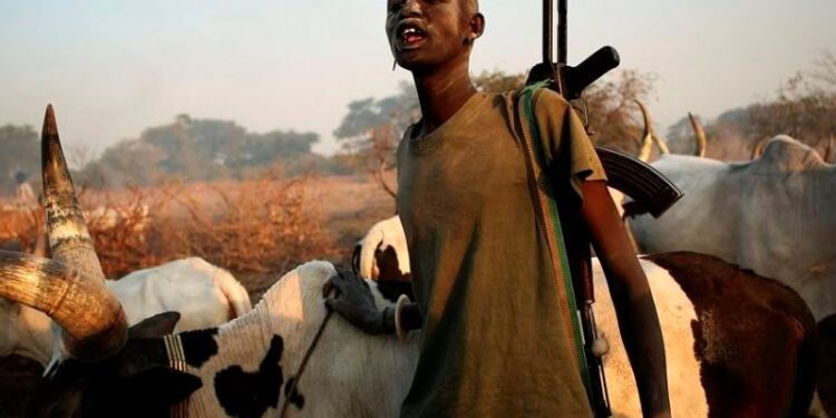 Benue Killings: Gov. Alia says formation of vigilante groups answer to armed herder attacks 92 Killer herdsmen