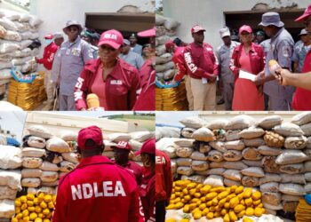 NDLEA intercept large consignments of illicit drugs from India 96 NDLEA intercept large consignments of illicit drugs from India