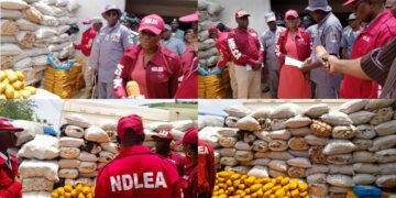 NDLEA intercept large consignments of illicit drugs from India
