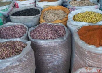 FG to suspend import duties on rice, beans, maize, wheat, others