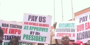 SSANU, NASU may proceed on strike Thursday over alleged 4-month unpaid salaries