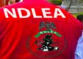 NDLEA nabs Vietnam-bound businessman with 88 wraps of cocaine stored in body