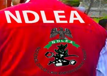 NDLEA nabs Vietnam-bound businessman with 88 wraps of cocaine stored in body