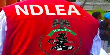 NDLEA nabs Vietnam-bound businessman with 88 wraps of cocaine stored in body