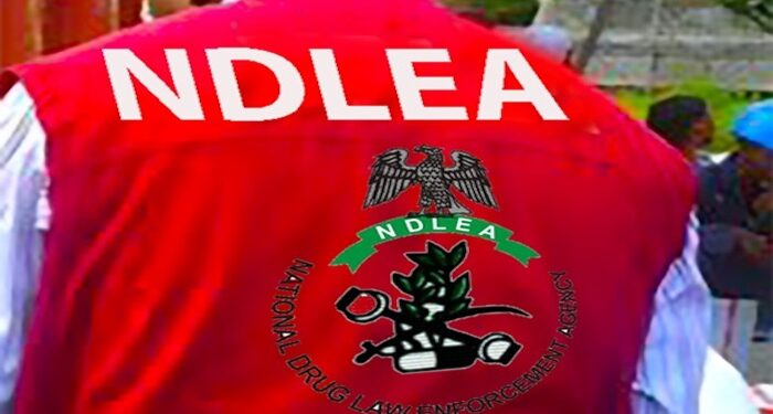 NDLEA nabs Vietnam-bound businessman with 88 wraps of cocaine stored in body 92 NDLEA nabs Vietnam-bound businessman with 88 wraps of cocaine stored in body