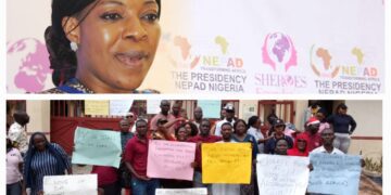 AUDA-NEPAD staff allege poor management, financial misappropriation call for CEO, Akobundu’s dismissal