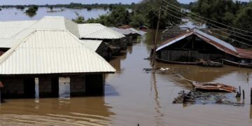 Death toll reach 49 as Kano flood devastates 226 communities
