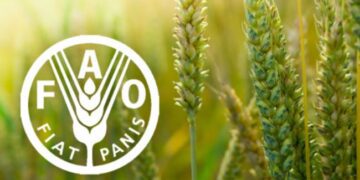 FAO Report: Global food prices fell marginally in August 2024 1 FAO Report: Global food prices fell marginally in August 2024