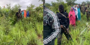 Troops rescue 13 kidnap victims in Kaduna 1 Troops rescue 13 kidnap victims in Kaduna