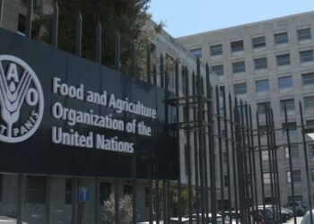 FAO Report: Global food prices fell marginally in August 2024