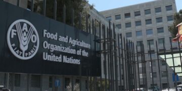 FAO Report: Global food prices fell marginally in August 2024