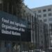 FAO Report: Global food prices fell marginally in August 2024