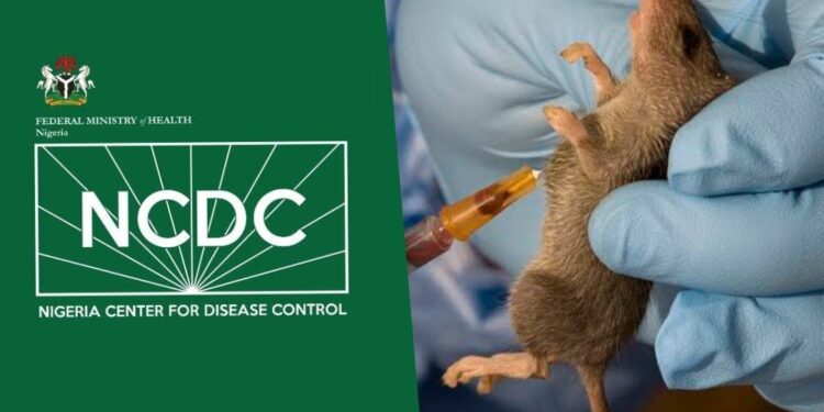 NCDC confirms 982 Lassa Fever cases, death toll hits 168 92 NCDC confirms 982 Lassa Fever cases, death toll hits 168