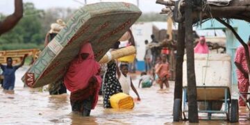 FG, WHO reaffirm more support for displaced communities, victims of flooding as Dangote announces N2bn donation