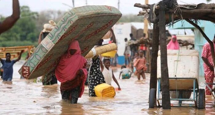 FG, WHO reaffirm more support for displaced communities, victims of flooding as Dangote announces N2bn donation