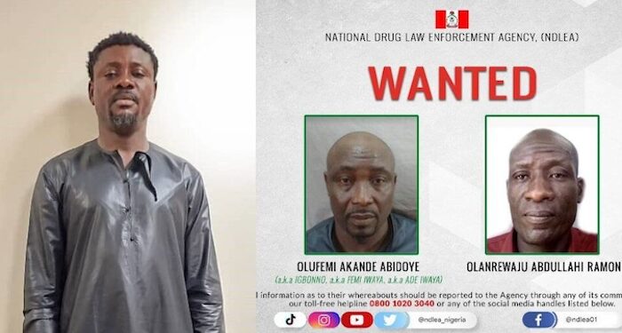 NDLEA nab drug baron behind cocaine shipments to Qatar, Saudi Arabia ...declares two others wanted 92 NDLEA nab drug baron behind cocaine shipments to Qatar, Saudi Arabia …declares two others wanted