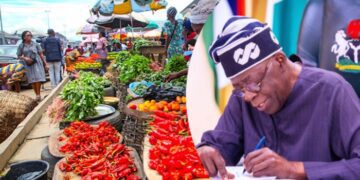 President Tinubu’s interventions on food security: Progress report, by Fredrick Nwabufo 1 President Tinubu’s interventions on food security: Progress report, by Fredrick Nwabufo