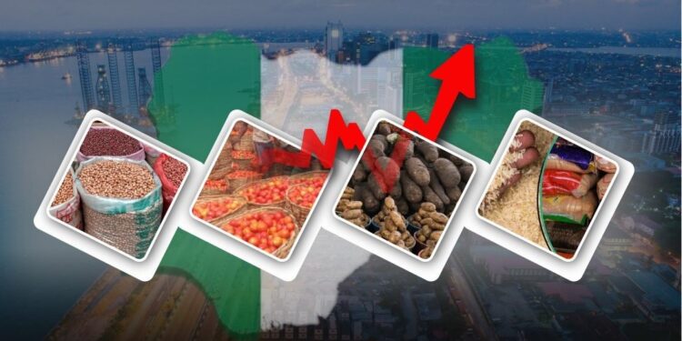 NBS: Food inflation rises to 39.93% in November 2024 92 NBS: Food inflation rises to 39.93% in November 2024