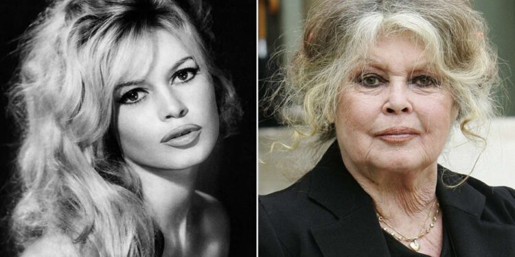 French cinema icon Brigitte Bardot dies at 91