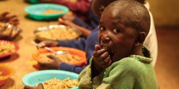 UN warns 35 million Nigerians face hunger