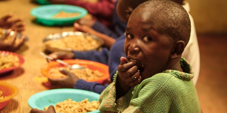 UN warns 35 million Nigerians face hunger