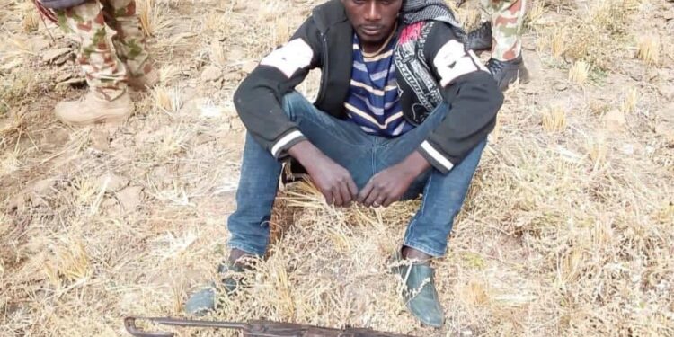 Troops neutralize 8 terrorists, 11 surrender in Gwoza