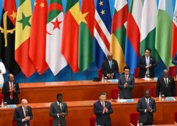 China to grant zero-tariff access to imports from 53 African nations
