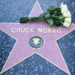 Action movie legend Chuck Norris dies at 86