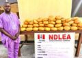 NDLEA Cracks Down Nationwide: Former Lagos councillor, multiple suspects arrested in drug busts