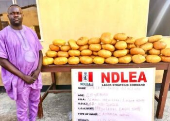 NDLEA Cracks Down Nationwide: Former Lagos councillor, multiple suspects arrested in drug busts